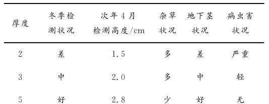 重楼的种植技术和病虫害防治(重楼种子怎么快速催芽成活率最高)图3