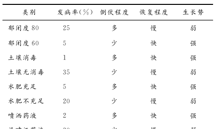 重楼的种植技术和病虫害防治(重楼种子怎么快速催芽成活率最高)图5