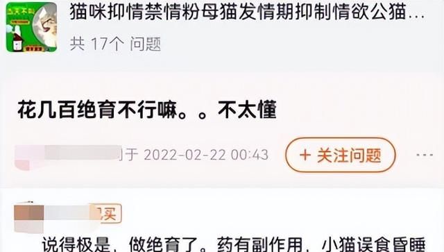 猫咪发情时不能做绝育手术怎么能不让它叫图21