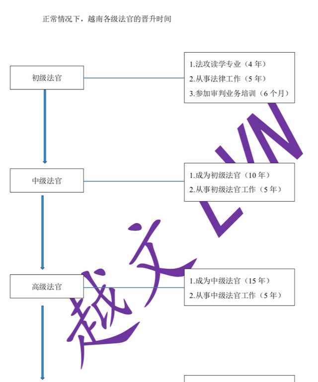 在越南当法官工资高吗图1