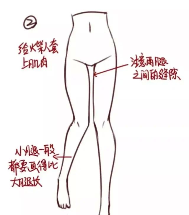 漫画女生的腿怎么画初学者,漫画腿坐姿画法图5