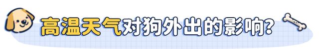 把狗关在车里10分钟,我永远失去了它英文图3