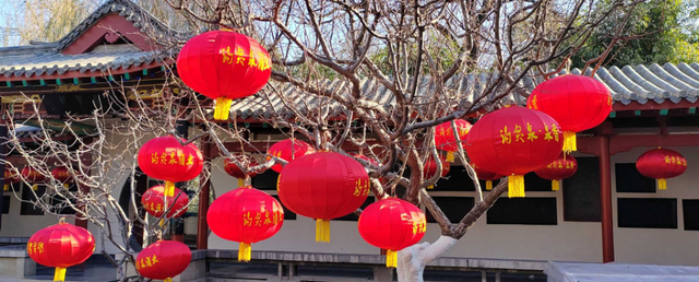 好景山东|红红火火！济南趵突泉大红灯笼高高挂，节日氛围感满满图6