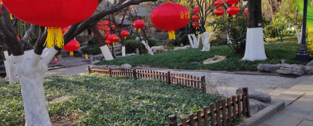 好景山东|红红火火！济南趵突泉大红灯笼高高挂，节日氛围感满满图9