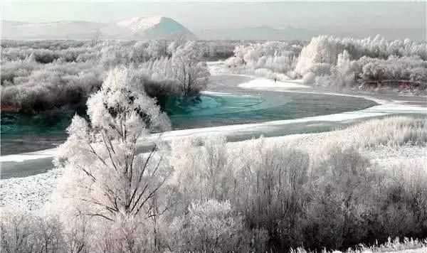 林海雪原之歌茫茫林海,牙克石驰骋林海雪原图1