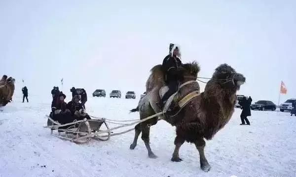 林海雪原之歌茫茫林海,牙克石驰骋林海雪原图2