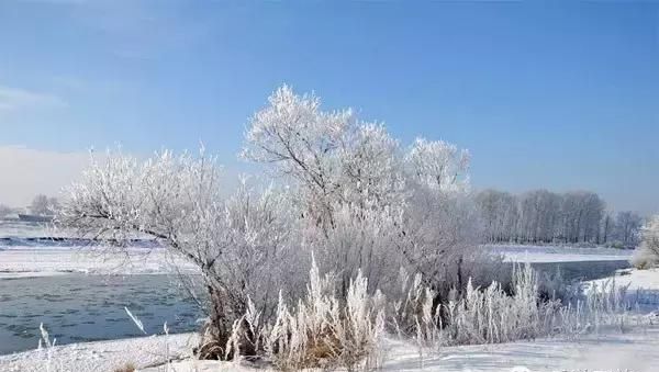 林海雪原之歌茫茫林海,牙克石驰骋林海雪原图4