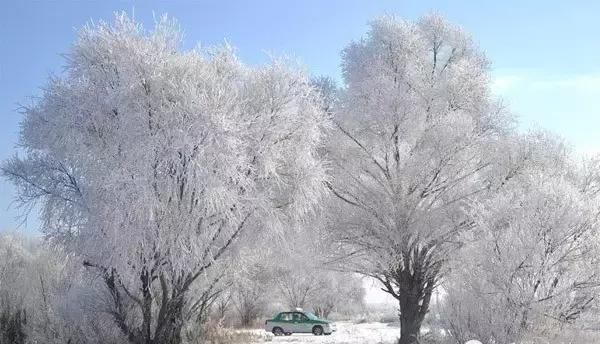 林海雪原之歌茫茫林海,牙克石驰骋林海雪原图5