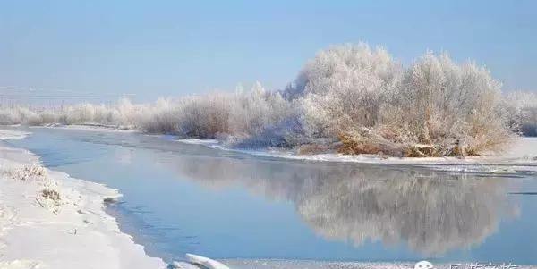 林海雪原之歌茫茫林海,牙克石驰骋林海雪原图7