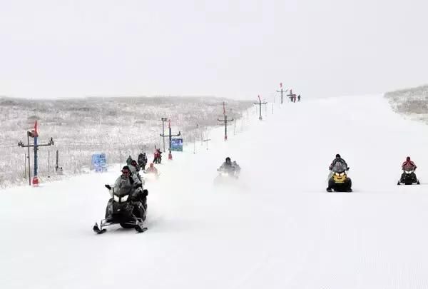 林海雪原之歌茫茫林海,牙克石驰骋林海雪原图9