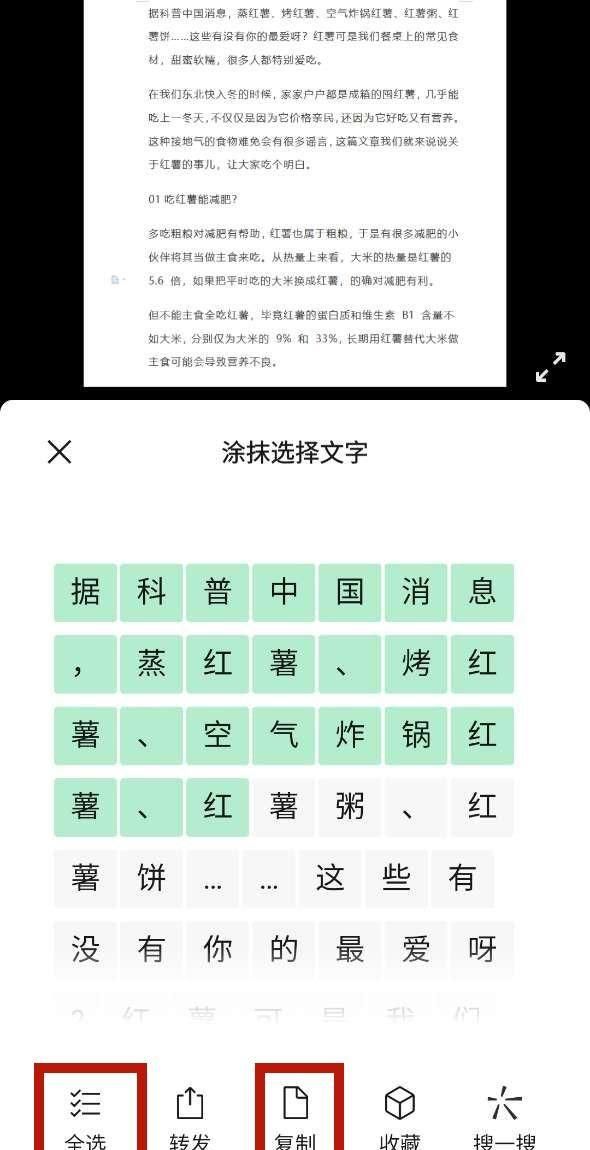 图片转换成word表格的方法,excel长表格转换到word怎么分栏图7