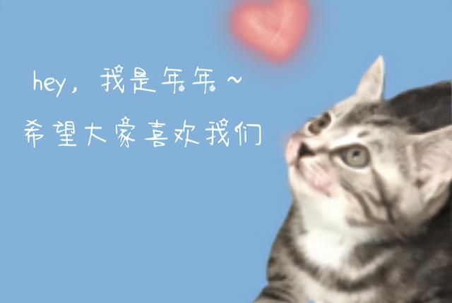 猫猫最好的绝育方式图1