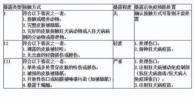 狗咬伤超过24小时打狂犬疫苗有没有效果图5