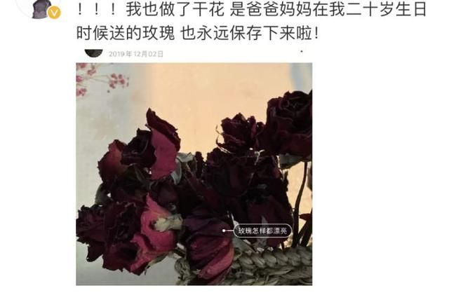 邓超送的花孙俪舍不得扔(邓超送孙俪亲手种的花)图3