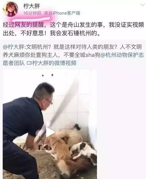 关于狗狗的十三个谣言图2