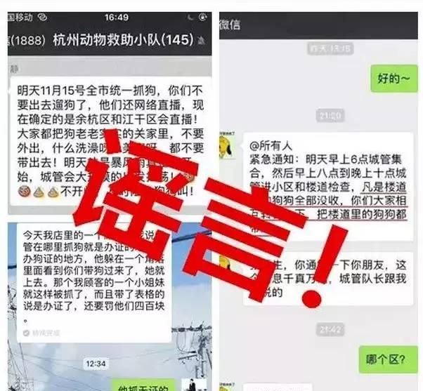 关于狗狗的十三个谣言图8