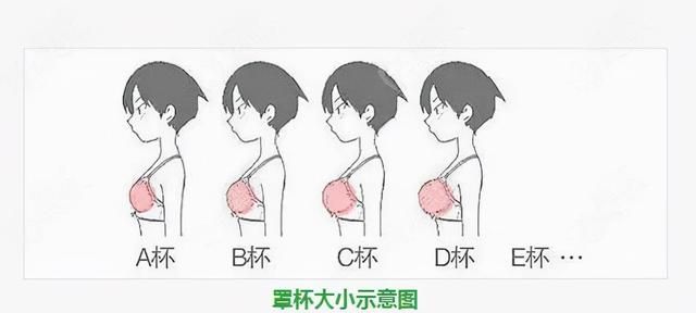 内衣最伤乳房健康的5种穿法(内衣要穿紧的还是松对乳房好)图2