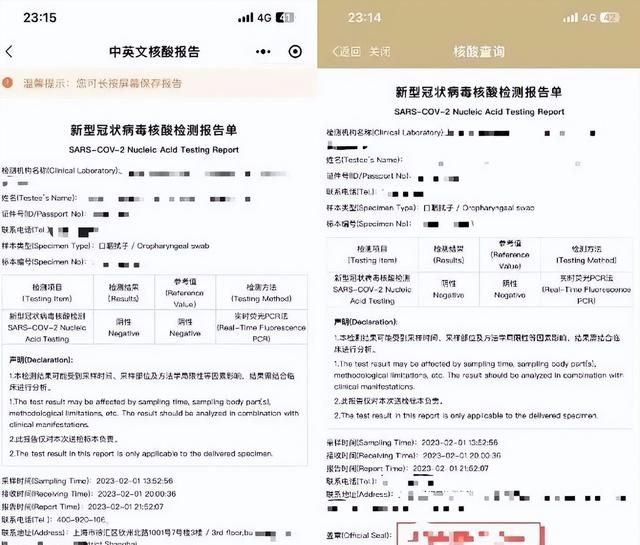 最新中英文核酸报告哪里获取图10
