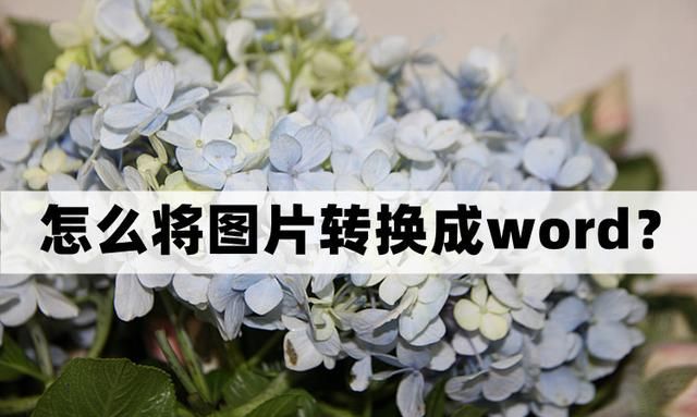 怎么将图片转换成word文档?三个好用的方法分享到微信图1