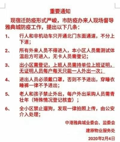 疫情期间狗狗不在家大小便怎么办图1