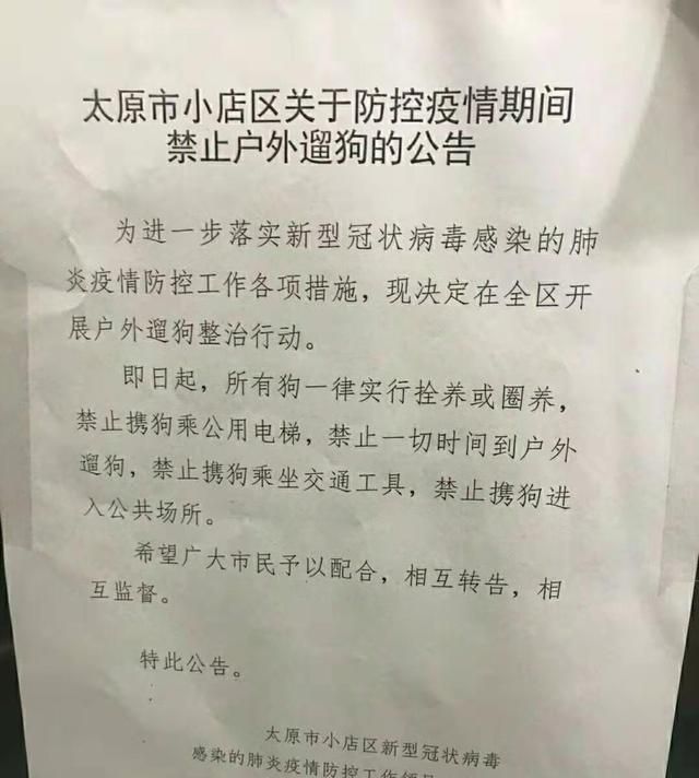 疫情期间狗狗不在家大小便怎么办图2