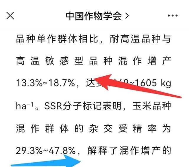 所有玉米品种都有减产的风险图21