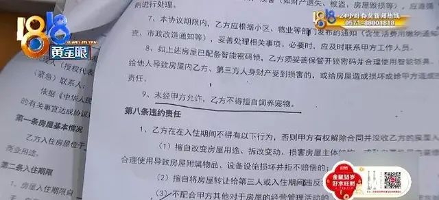 小狗从四楼摔下来要怎么办(小狗从三楼跳下致残主人绝不遗弃)图8