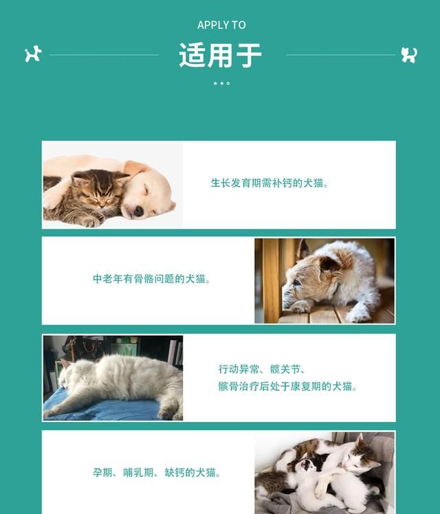 猫咪抽搐是什么原因引起的图4