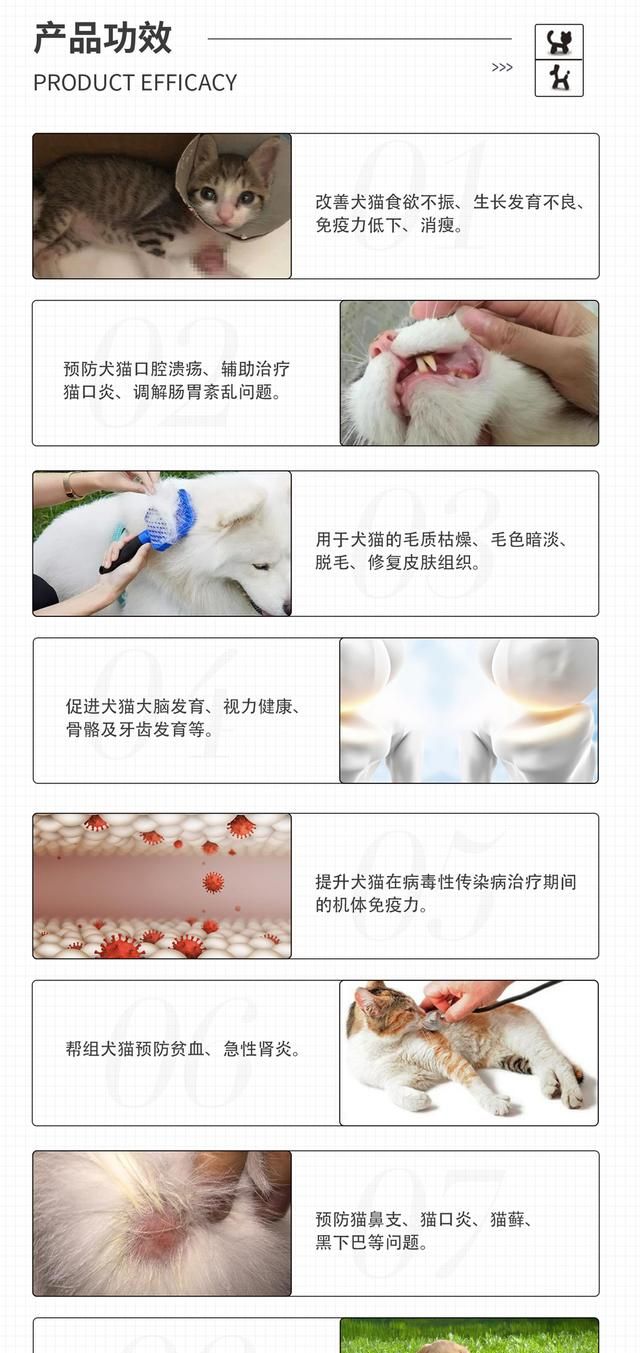 猫咪抽搐是什么原因引起的图7