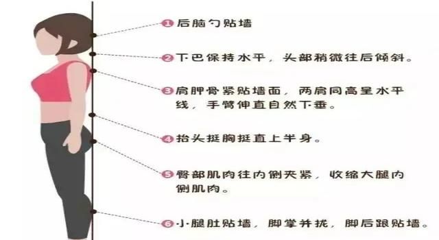 中年女士最快速减腰腹赘肉的方法图6