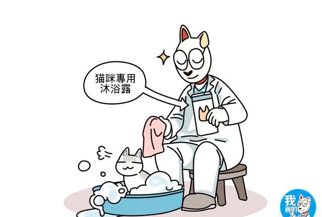 猫咪得了猫癣以后就不会再得了吗图5