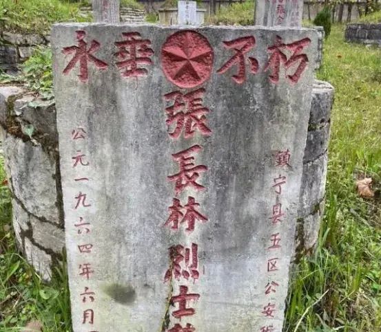 为烈士寻亲已为51位烈士找到亲人图8