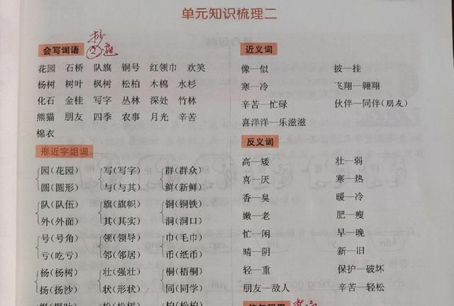 小学一二年级量词大全,一年级掌握量词的技巧图5