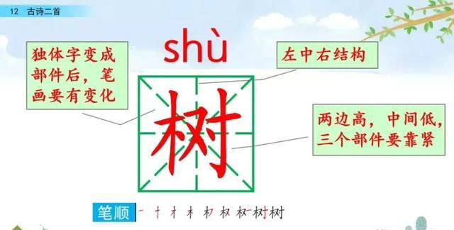 一年级下册语文课文12《古诗二首》图文详解及同步练习图28