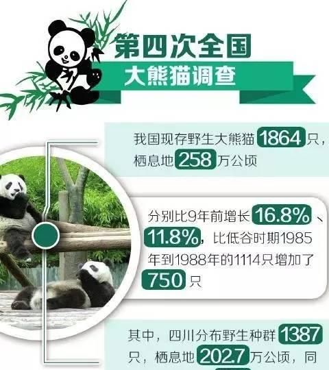 为什么大熊猫不濒危了还要保护图6