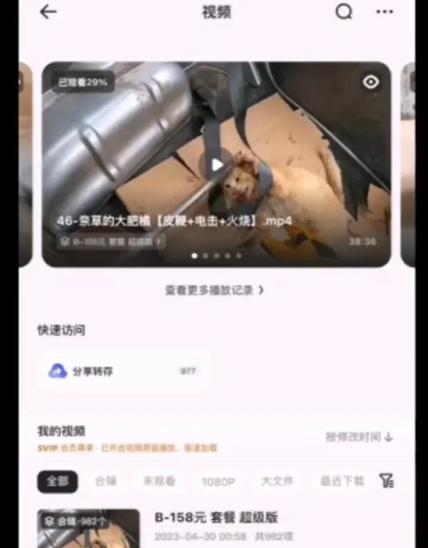 皮鞭的打法教学图4