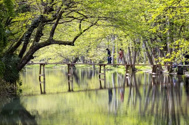 清明节上坟是什么意思?图6