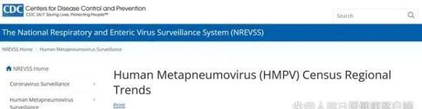 多国出现HMPV病毒感染，1年超1.6万儿童死亡！国内也曾发现，尚无治疗药物图1