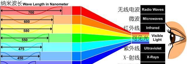 粤菜椒盐濑尿虾的做法窍门图22