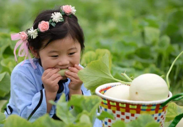 儿童节必买特产,六一儿童节适合带什么零食去吃图10