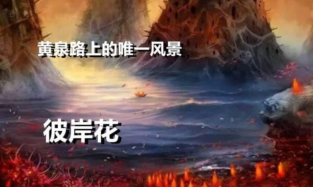 我的世界1.16更新地狱传送门遗迹图11