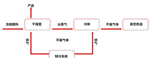 一颗冻干草莓的真情告白,一盒新鲜草莓的告白图5