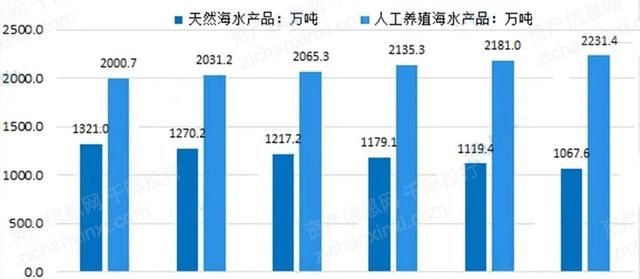 2022年渔业行业研究报告,渔业行业分析图21