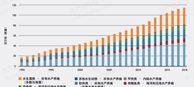 2022年渔业行业研究报告,渔业行业分析图32