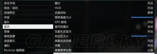 GTa5在线模式图像怎么设置(GtA5怎么设置好操作)图37