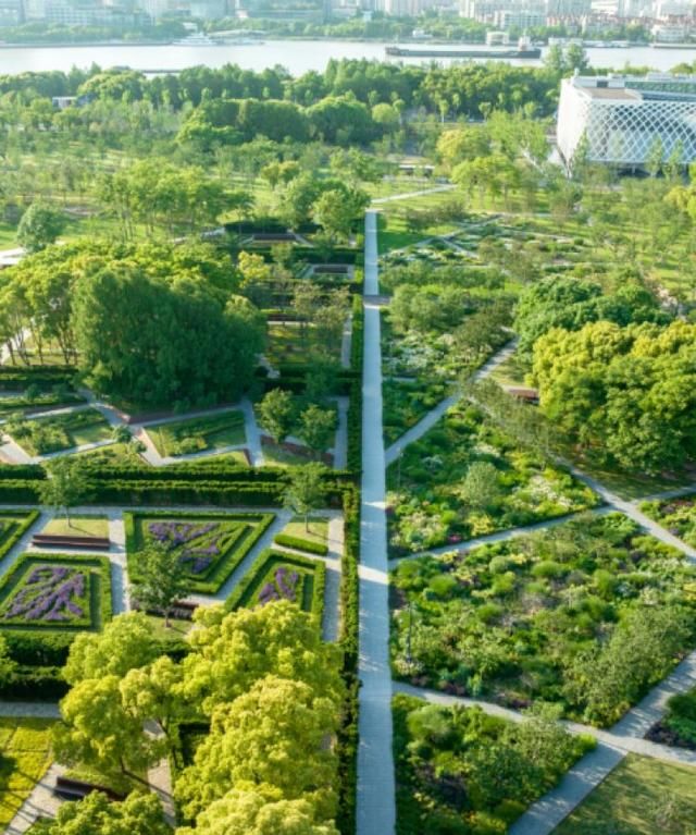 看满园美丽的花海景点打卡(最全赏花景点等您打卡)图6