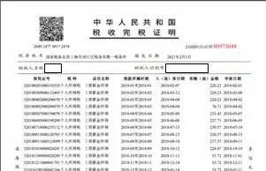 个人所得税缴纳凭证打印网上查询图13