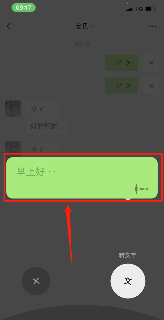 微信给别人发消息怎么语音转文字图13