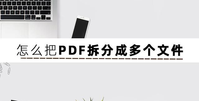 怎么把pdf拆分成多个文件?这篇文章告诉你什么图2