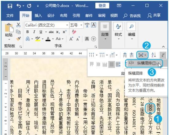 word段落特殊格式有哪些,word的段落格式有哪几种图14